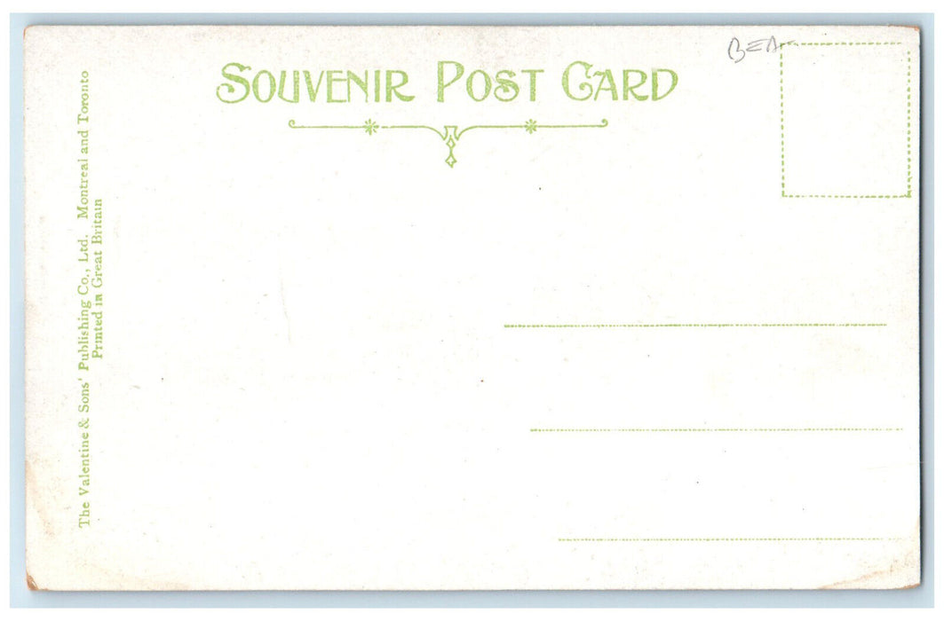 c1905 Residential Section Liverpool Nova Scotia Canada Unposted Postcard