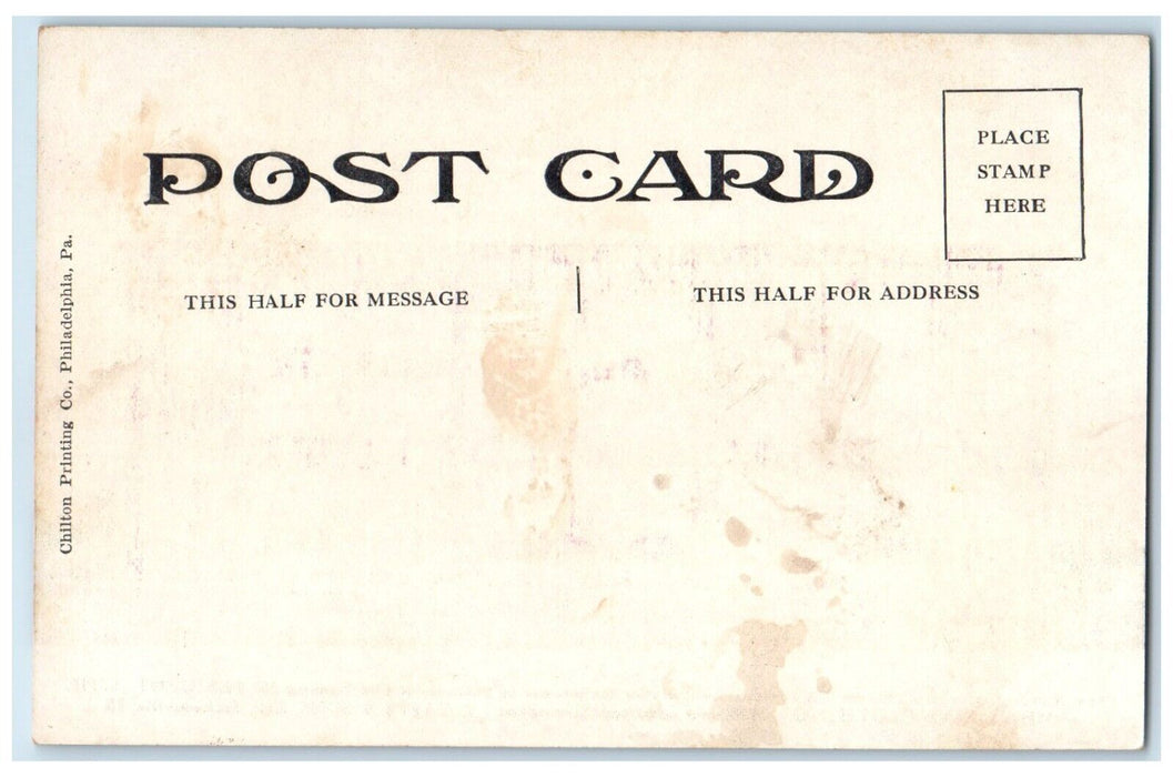 c1910 New Building Cent Line Men's Fine Clothing Jacksonville Illinois Postcard
