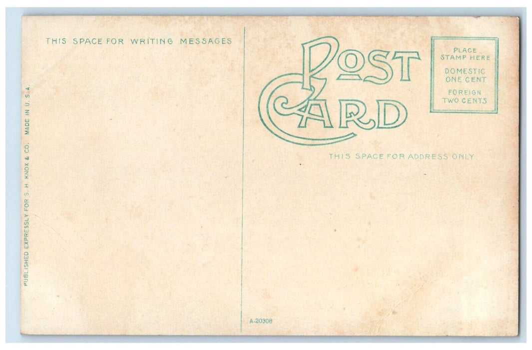 c1910 Fountain Main Building Orphans Home Exterior Lincoln Illinois IL Postcard