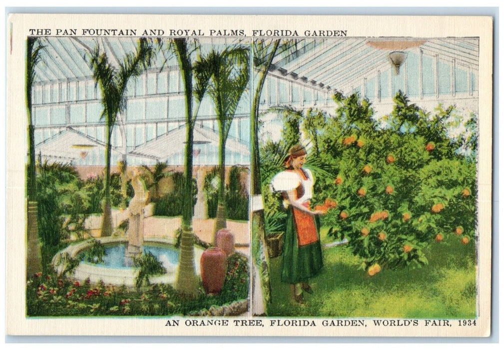 The Pan Fountain And Royal Palms Orange Tree Florida Garden Worlds Fair Postcard