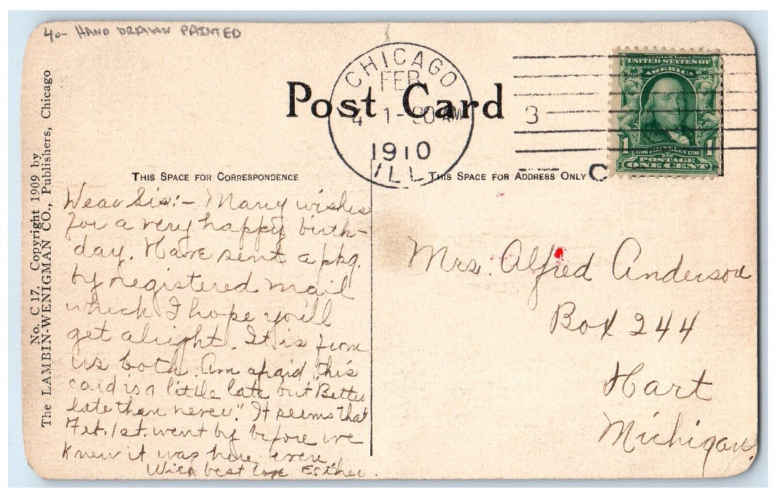 1910 Flowers Hand Drawn Painted Mary Connell Chicago Illinois IL Postcard