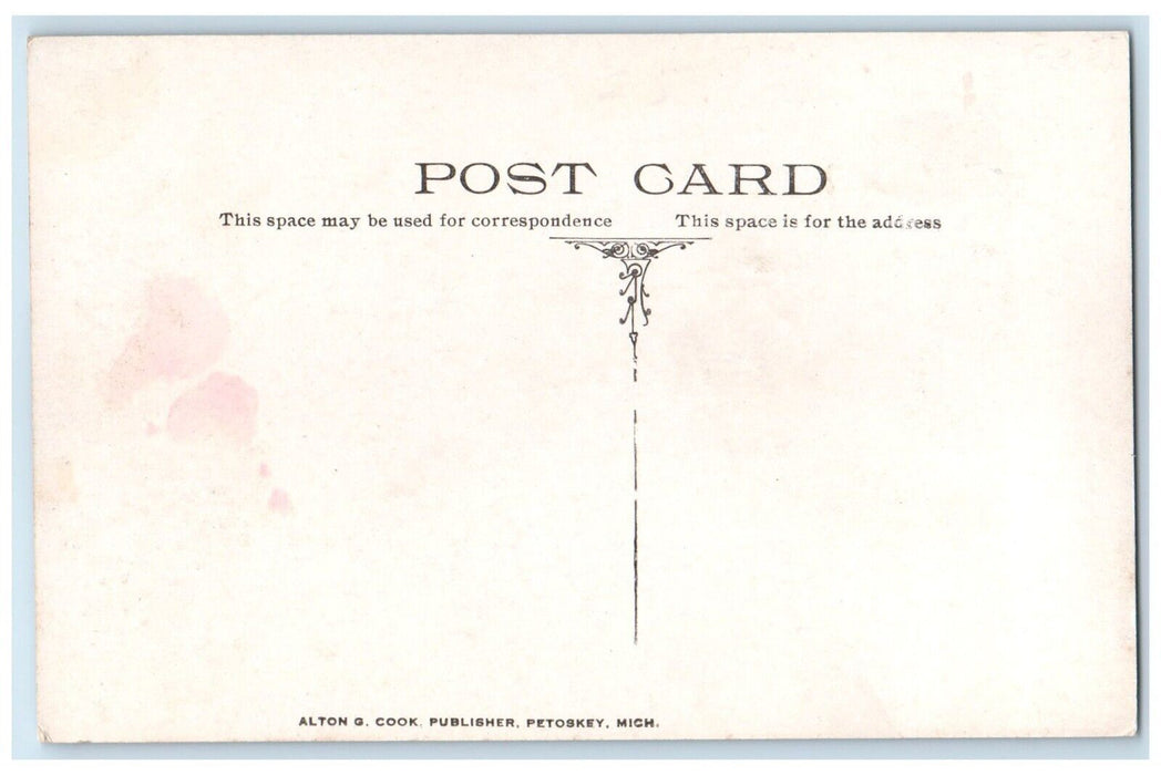 c1910 Bear River Water Works Harbor Steamer Ship Petoskey Michigan MI Postcard