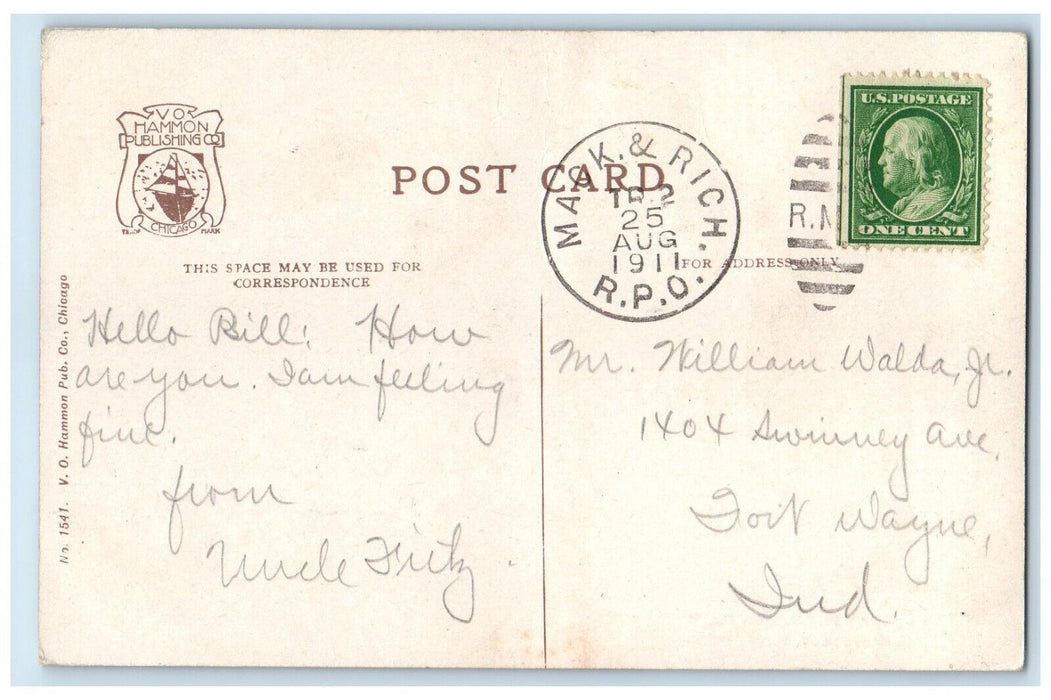 1911 Cushman Hotel Park Petoskey Michigan Vintage Vo Hammon Publishing Postcard