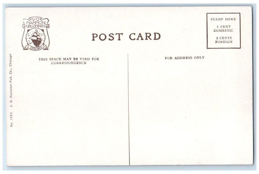c1910 Vista Pere Marquette Railway Park Petoskey Michigan MI Vo Hammon Postcard