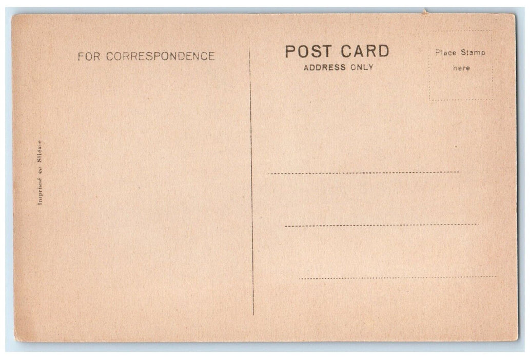 c1940's Steamboat Twilight on Indian River Muskoka Lakes Ontario Canada Postcard