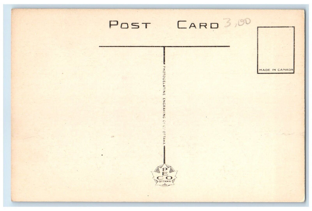 c1950's View of Swans Jack Miner's Bird Sanctuary Kingsville Canada Postcard