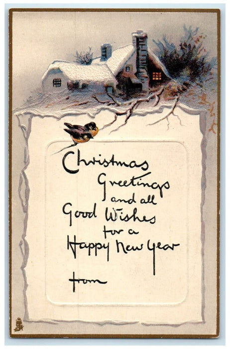 c1910's Christmas Greetings Houses Birds In Winter Tuck's Embossed Postcard