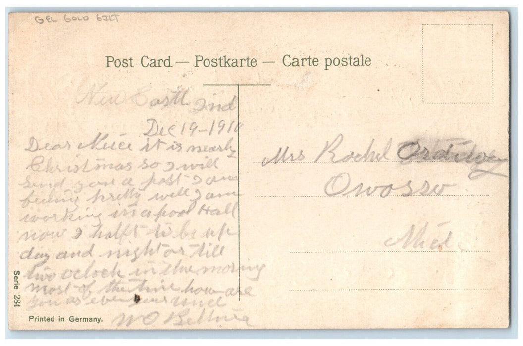 c1910's Merry Christmas House Winter Pine Trees Berries Gel Gold Gilt Postcard