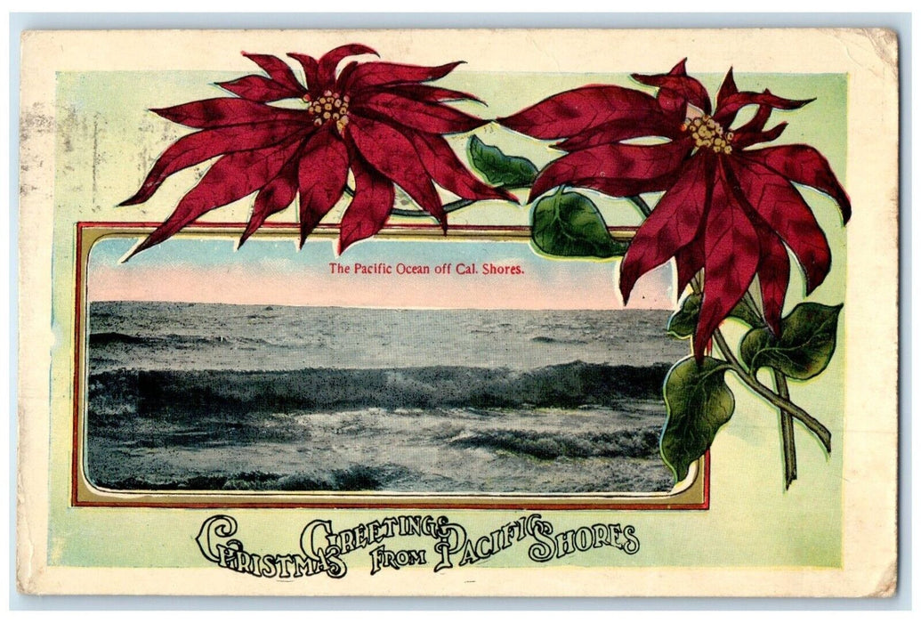 Christmas Greetings Poinsettia Flowers The Pacific Ocean Off Cal Shores Postcard