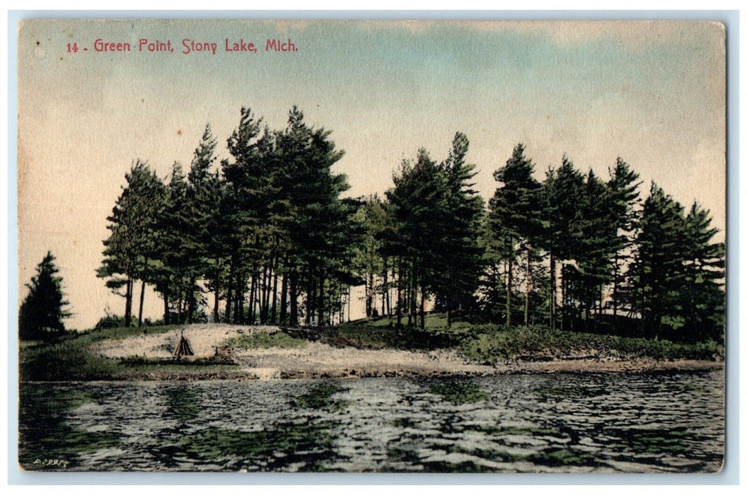1909 Scenic View Green Point Stony Lake Michigan Posted Vintage Antique Postcard