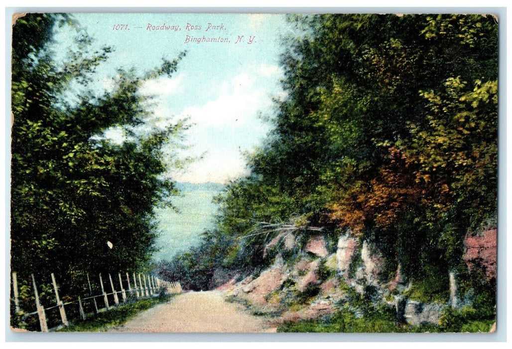 1909 Roadway Ross Park Dirt Road Binghamton New York NY Posted Antique Postcard