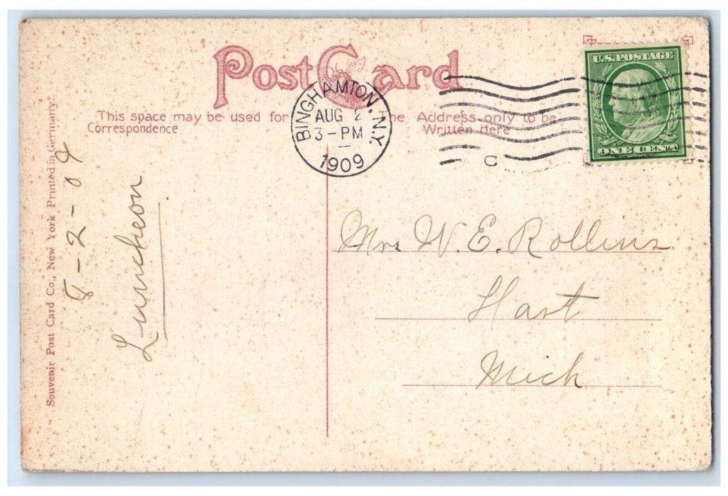 1909 Roadway Ross Park Dirt Road Binghamton New York NY Posted Antique Postcard