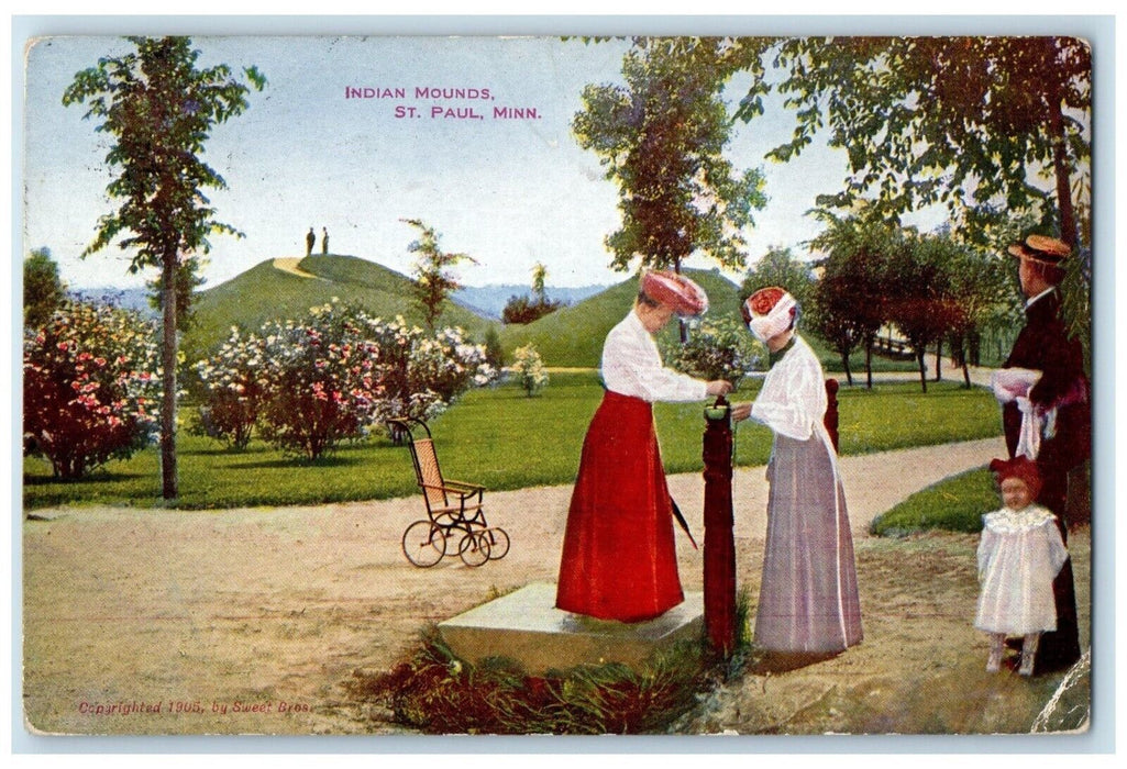 1910 Indians Mounds Wheelchair Garden Park Flower St. Paul Minnesota MN Postcard