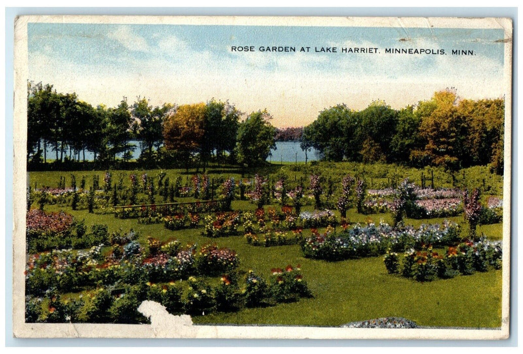 1916 Rose Garden Lake Harriet Field Garden Flower Minneapolis Minnesota Postcard
