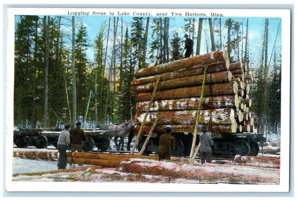c1910's Logging Scene In Lake County Near Two Harbors Minnesota MN Postcard