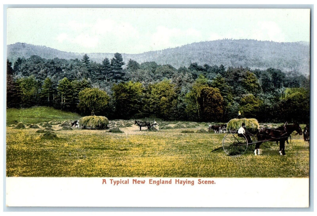 c1905 A Typical New England Haying Scene Field Unposted Antique Postcard