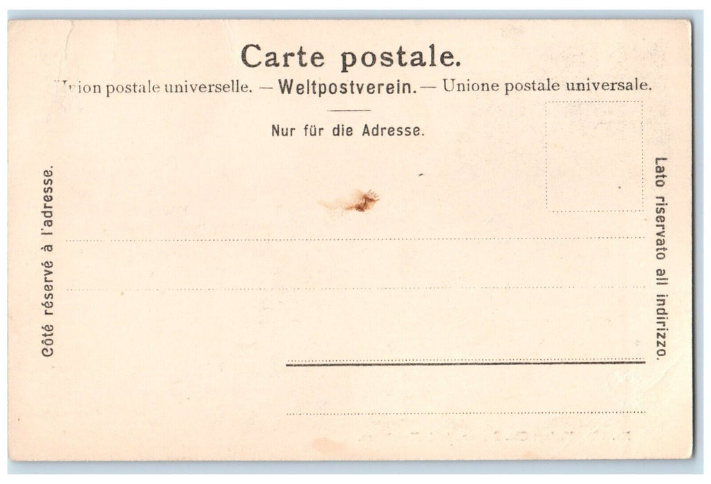 c1905 Hotel Haslithal Guttannen Switzerland Unposted Antique Postcard