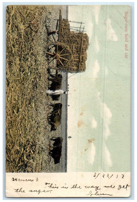 1902 Farmer Scene Sugar Cane Field and Buffalo Carriage Cuba Postcard