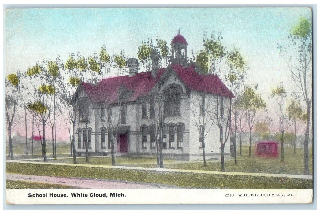 c1910 Rear View School House Building White Cloud Michigan MI Vintage Postcard
