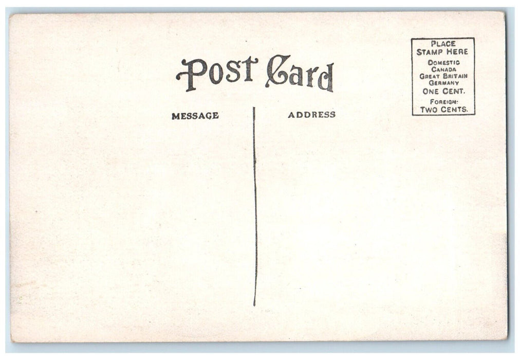 c1910 Exterior View Public Library Building Ludington Michigan Unposted Postcard
