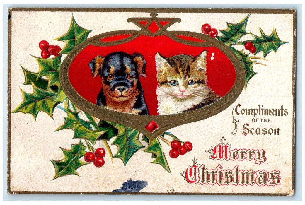 1909 Christmas Cute Puppy And Kittens Holly Berries Embossed Antique Postcard