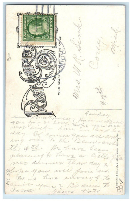 1910 Michigan Central R. R. Railroad Park Three Rivers MI Antique Postcard