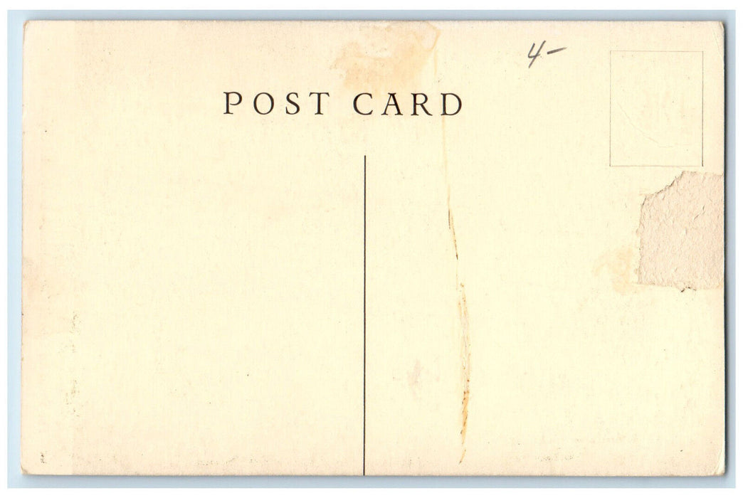 c1940's The Franklin Stove at Woodchuck Lodge Roxbury NY Vintage Postcard