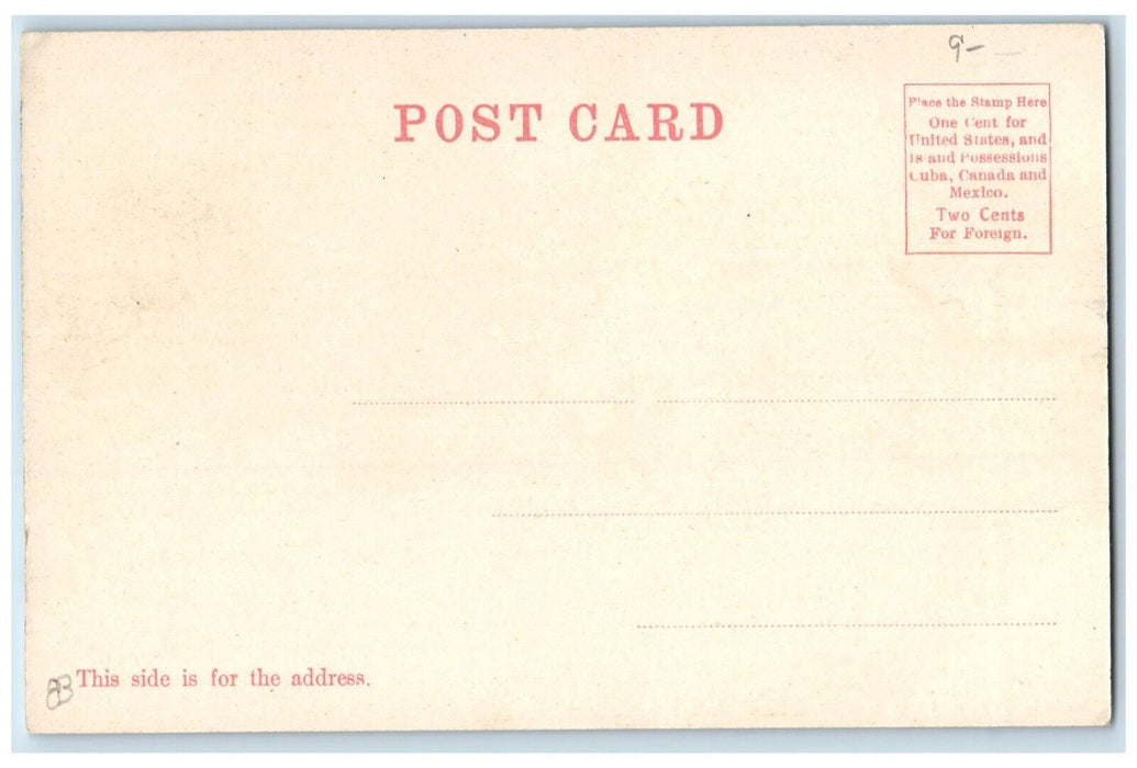 c1905 Depot Station Railroad Train Hose Wagon Bradford New Hampshire NH Postcard
