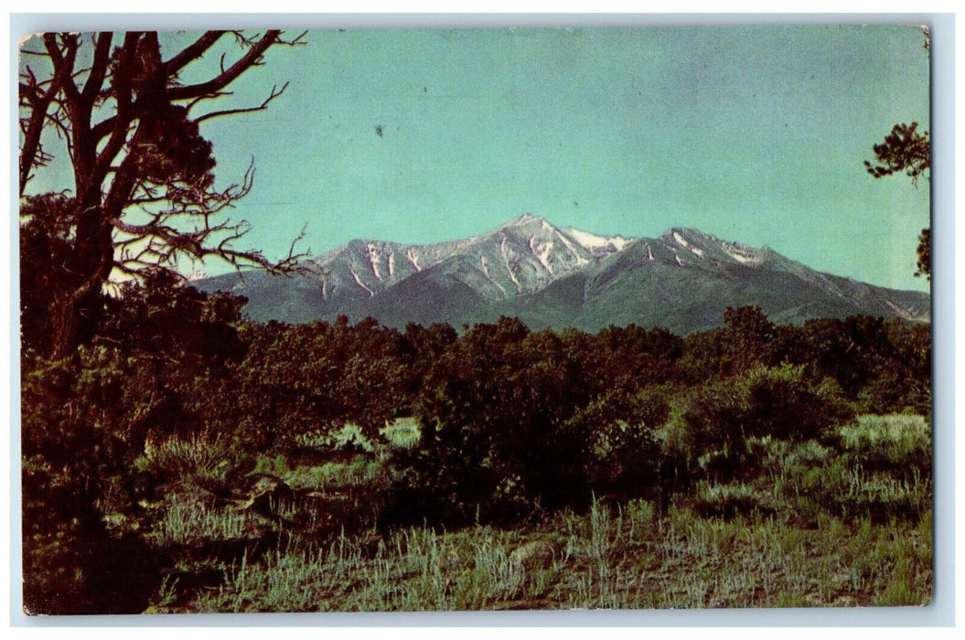 1950 Mount Princeton, Foot Peaks, Near Buena Vista Colorado CO Postcard