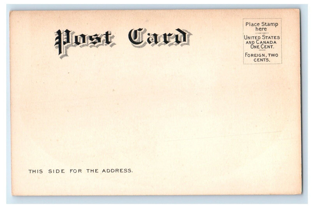 c1905 At Contoocook River Park Concord New Hampshire NH Antique Postcard