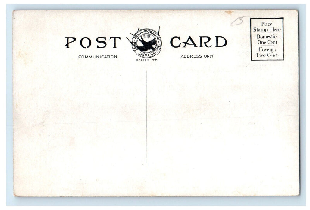 c1910's Bird's Eye View Ragged Mountain Danbury New Hampshire NH Postcard
