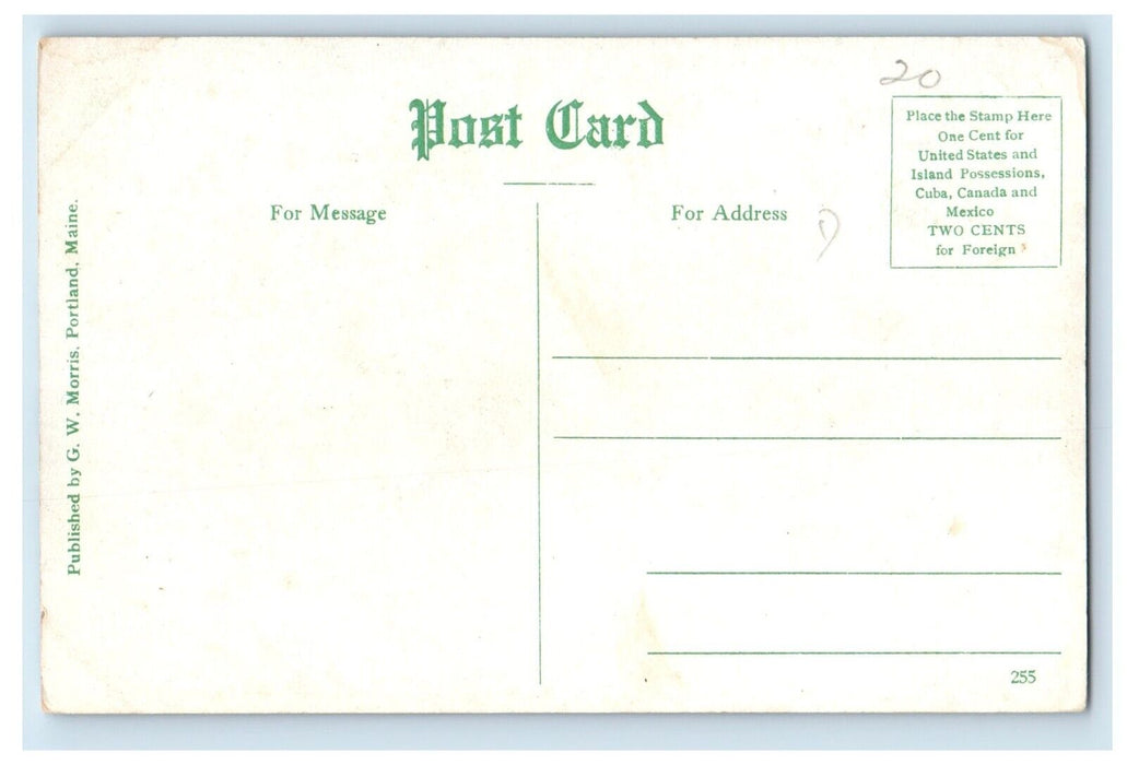 c1910's Double Head Mountain On Dundee Drive New Hampshire NH Antique Postcard