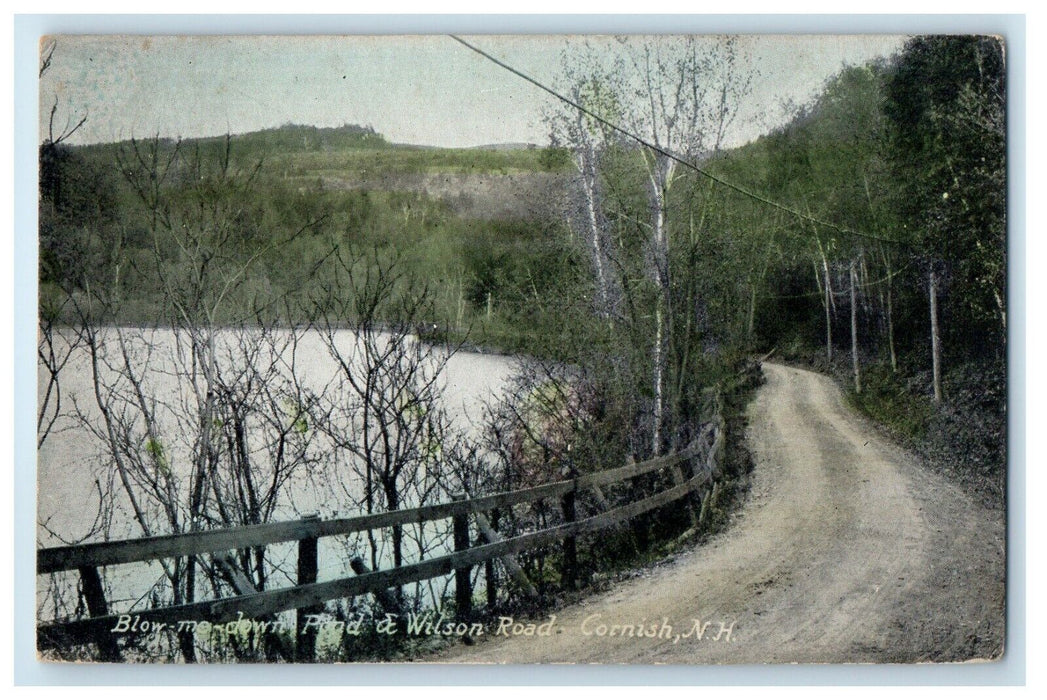 c1910's Blow Me Down Pond & Wilson Road Cornish New Hampshire NH Postcard