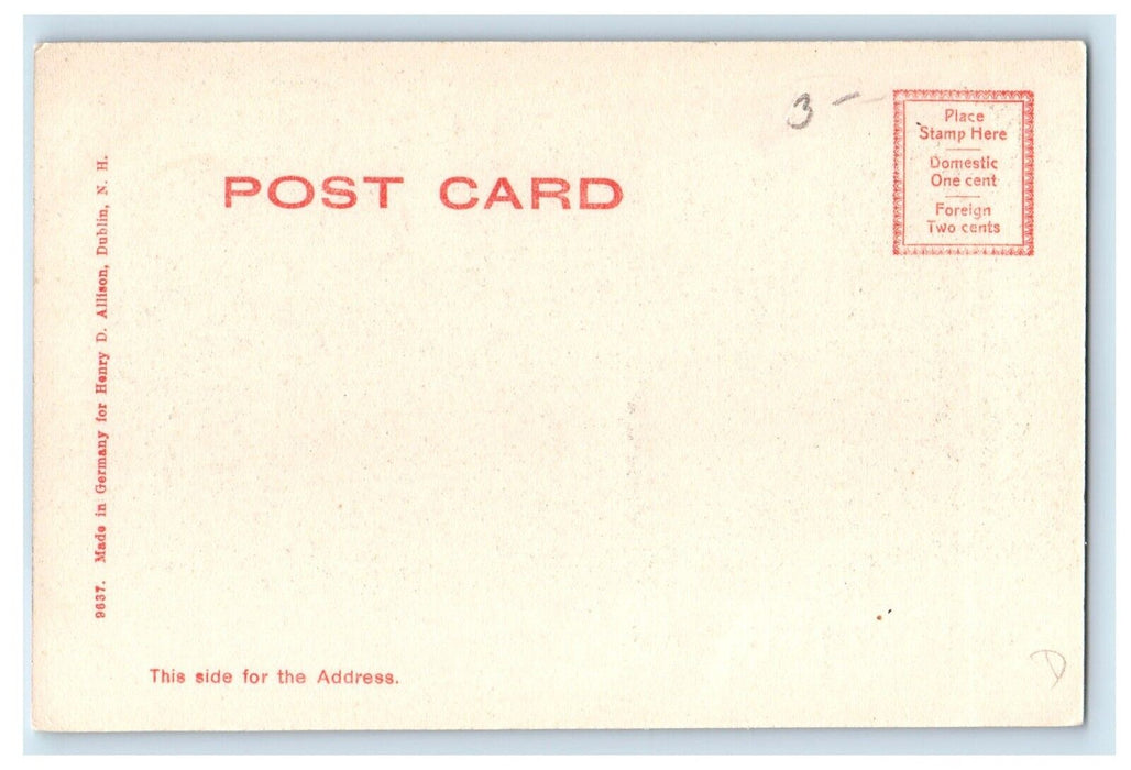 c1905 The Road To Woodbury Hill Dublin New Hampshire NH Rotograph Postcard