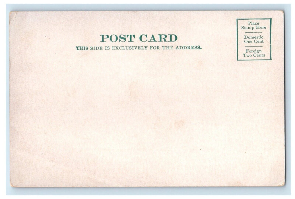 c1905 Road From Old Common Dublin New Hampshire NH Unposted Antique Postcard