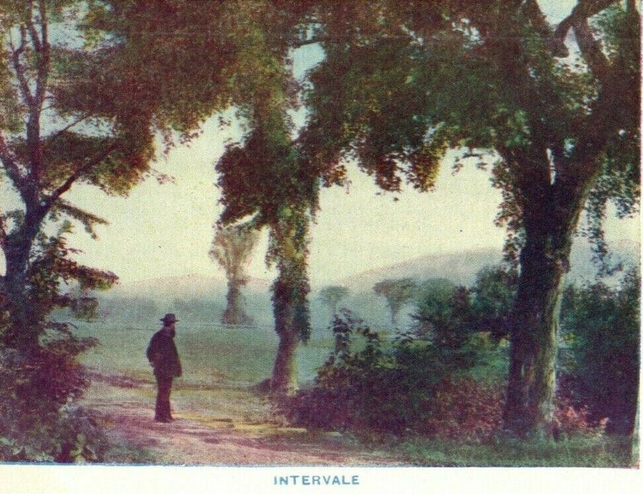 c1905 Intervale White Mountains New Hampshire Unposted NH Antique Postcard