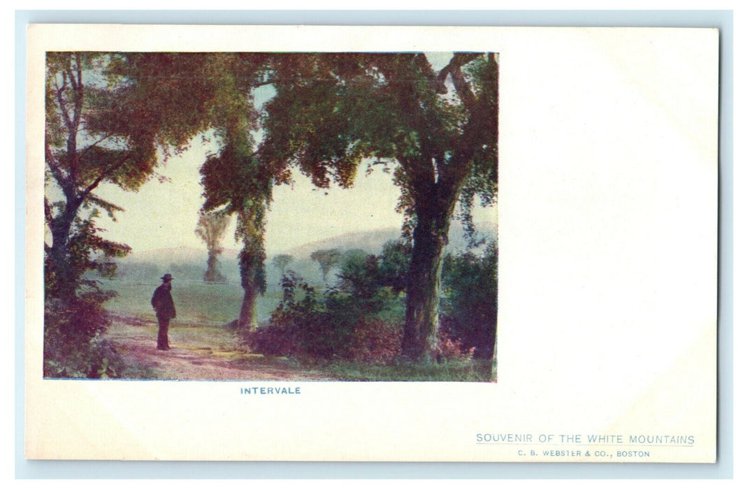 c1905 Intervale White Mountains New Hampshire Unposted NH Antique Postcard