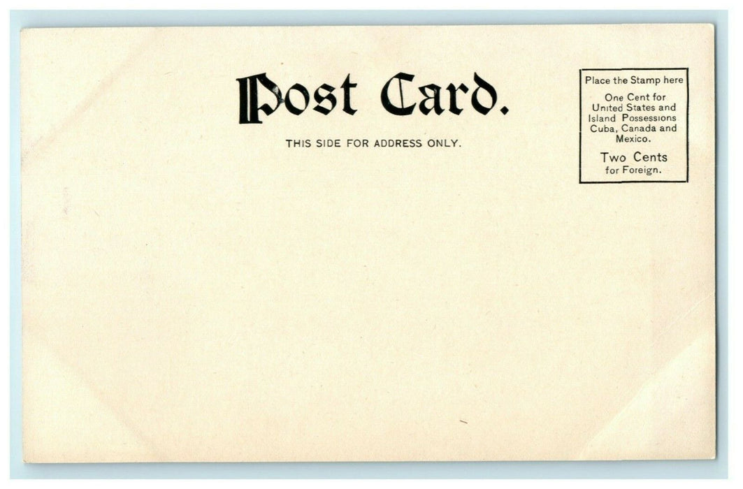 c1905 Intervale White Mountains New Hampshire Unposted NH Antique Postcard