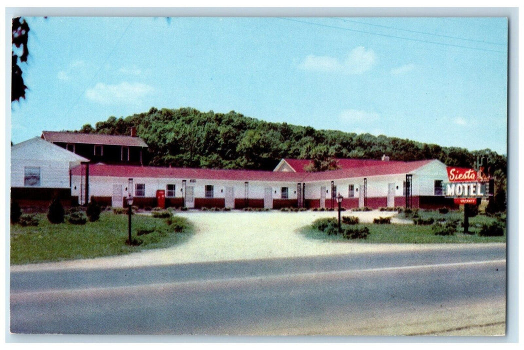 c1950's Siesta Motel Roadside New Albany Indiana IN Unposted Vintage Postcard