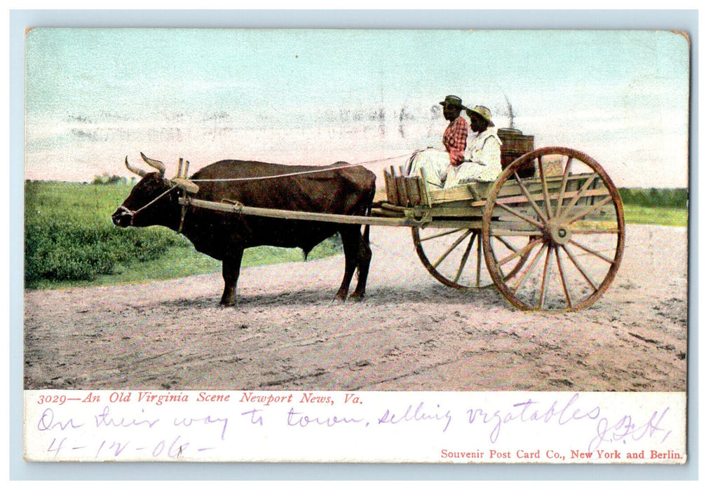 1906 Buffalo Carriage, Virginia Scene Newport News Virginia VA Postcard