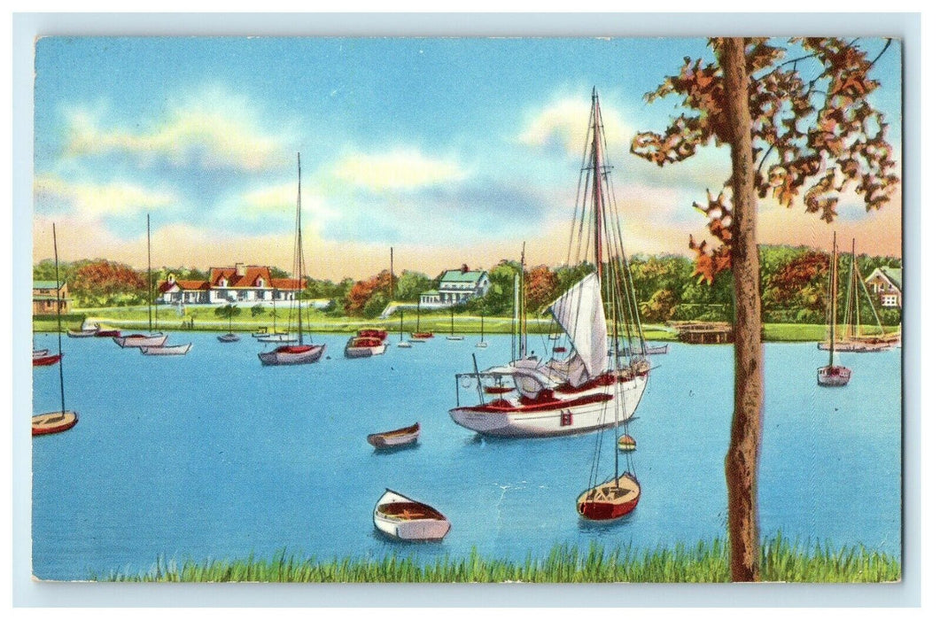 c1956 Boats at Wychmere Harbor, Harwichport, Massachusetts MA Antique Postcard
