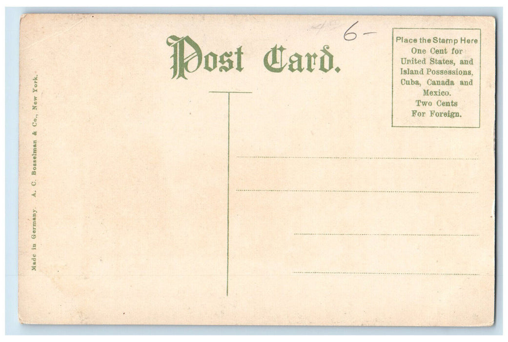 c1910 State Street Albany New York NY Unposted AC Bosselman & Co. Postcard
