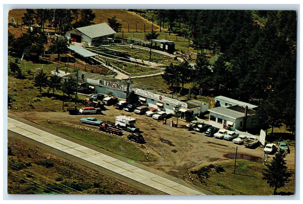 1969 Deer, Fancy Birds, Trout Pond Wilkinson's Wascott Wisconsin WI Postcard