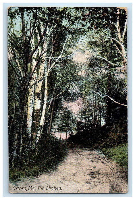 1909 Road Scene, The Birches, Oxford Maine ME Kineo ME Antique Postcard