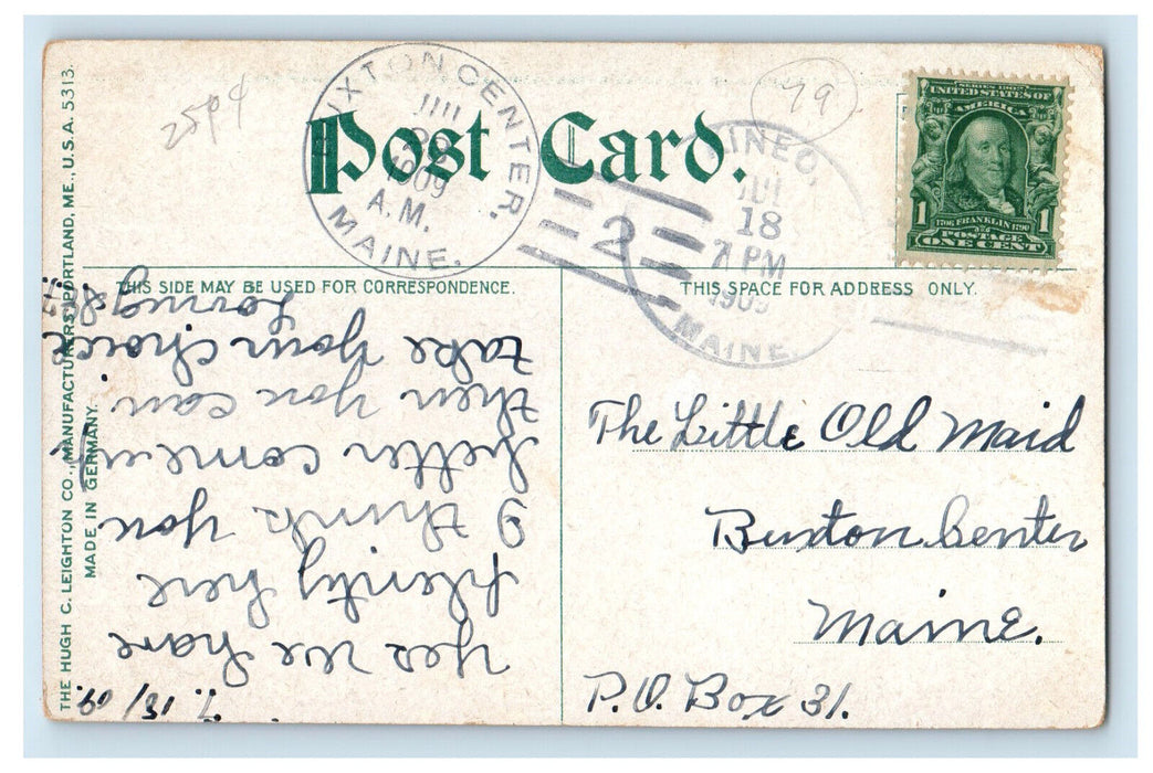 1909 Road Scene, The Birches, Oxford Maine ME Kineo ME Antique Postcard
