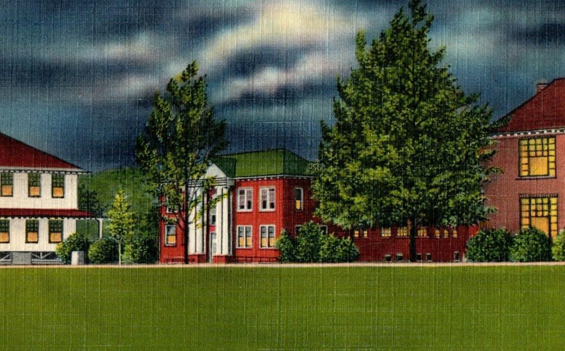 c1940's Night Time View Campus Mars Hill College Gymnasium Center NC Postcard