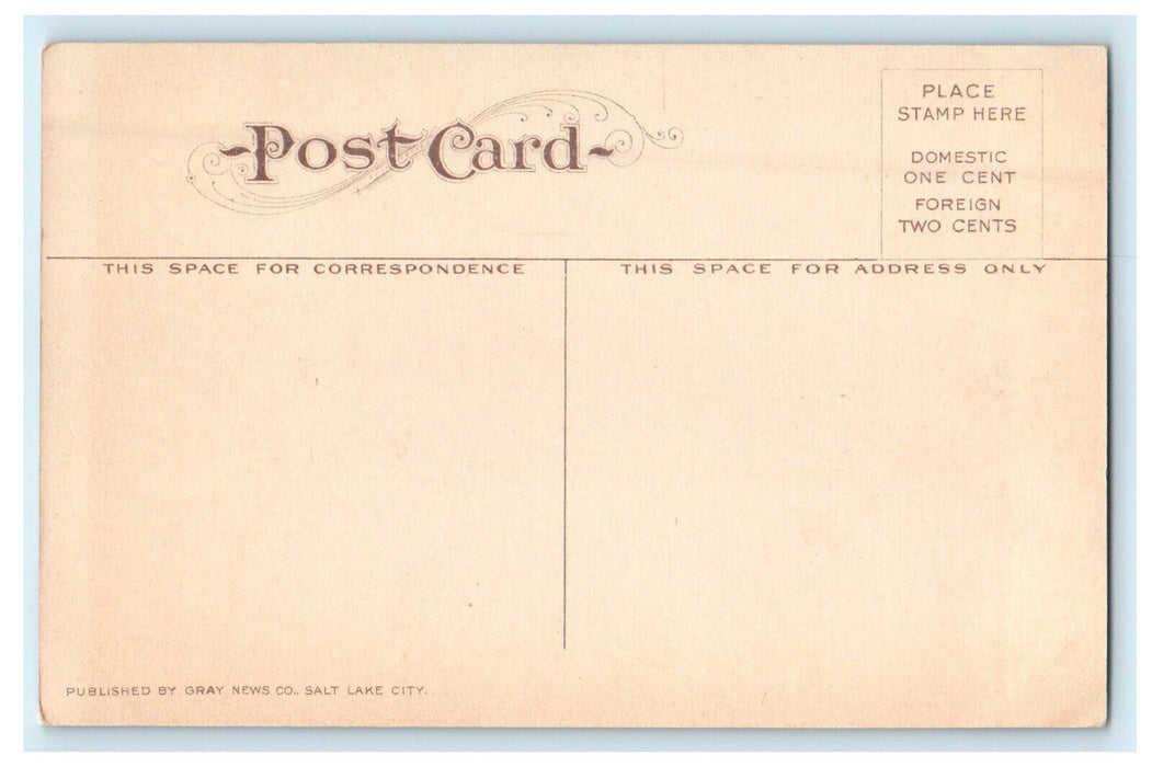 c1910s Mormon Tabernacle Ogden Utah UT Unposted Antique Postcard