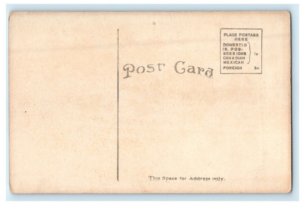 c1910's Hudson River Day Line Steamer Ship Robert Fulton New York NY Postcard