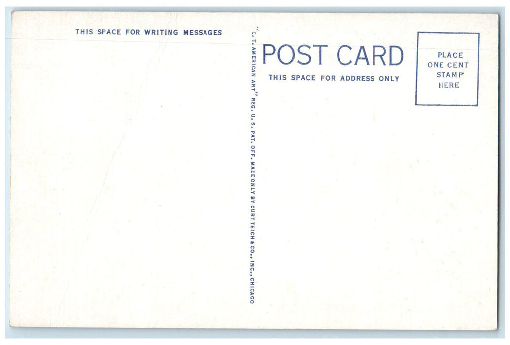 c1920's Railway, Mountain Scene Switch-Back Coudersport Pennsylvania PA Postcard