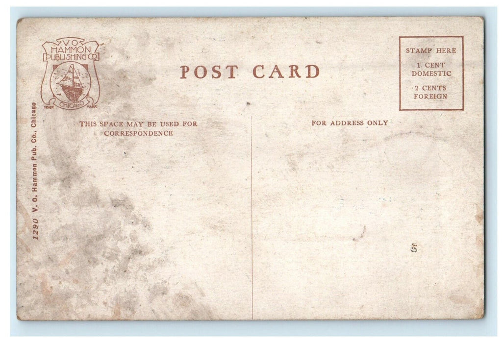 c1910's Steamship City Of South Haven Chicago And South Haven Line IL Postcard